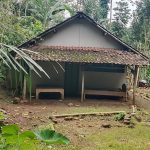 IMG-20260112-WA0115-2048x1536_ps