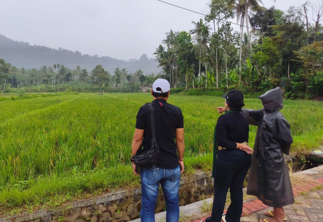 Sengketa Tanah Kalibaru Manis, Dugaan Salah Objek dan Tertutupnya Data Desa Disorot   Kuasa hukum menemukan perbedaan objek dalam transaksi jual beli, sementara permintaan pembukaan letter C tak kunjung dipenuhi. Proses verifikasi di lapangan dinilai belum menyentuh akar persoalan.   Sengketa tanah di Desa Kalibaru Manis, Banyuwangi, mengemuka di tengah dugaan kesalahan objek dalam transaksi jual beli. Kuasa hukum ahli waris menyebut terdapat perbedaan antara data dalam dokumen dengan lokasi lahan yang kini dikuasai, sementara akses terhadap data dasar di tingkat desa justru belum terbuka secara menyeluruh.